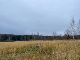 Продаются 3 (Три) Земельных участка сельскохозяйственного назначения ( 254 061 кв. м, 206 195 кв. м и 25703 кв. м), Московская обл., Солнечногорский р-н, ЗАО "Солнечное".